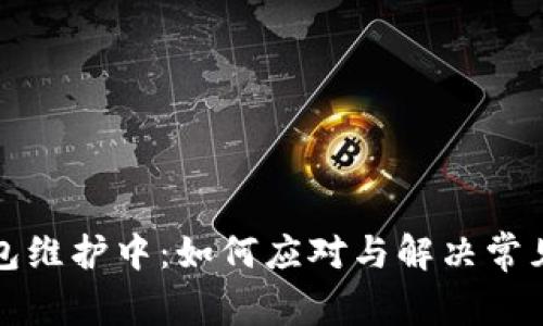 TP钱包维护中：如何应对与解决常见问题