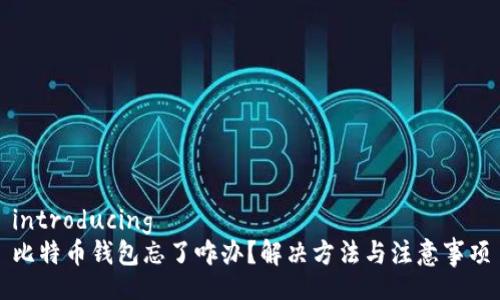 introducing
比特币钱包忘了咋办？解决方法与注意事项