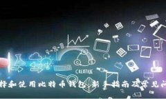 如何选择和使用比特币钱包：新手指南及常见问