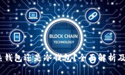 TP钱包：热钱包还是冷钱包？全面解析及使用指南