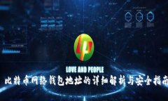  比特币网络钱包地址的详细解析与安全指南